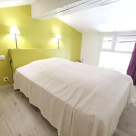 Apartment T5 Corail - Centre - Rooftop - Barbecue - Parking