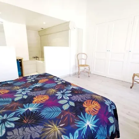 Apartment T5 Corail - Centre - Rooftop - Barbecue - Parking *