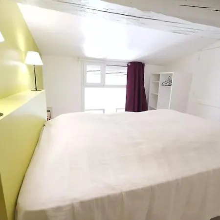 T5 Corail - Centre - Rooftop - Barbecue - Parking Apartment *