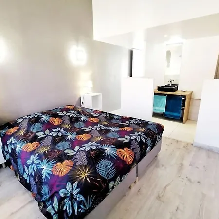 T5 Corail - Centre - Rooftop - Barbecue - Parking Apartment Collioure