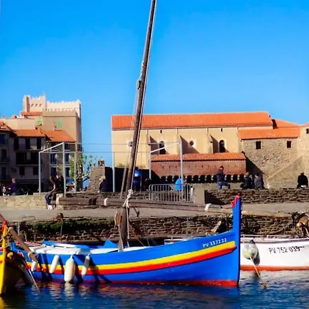 T5 Corail - Centre - Rooftop - Barbecue - Parking Collioure