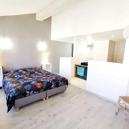 Apartment T5 Corail - Centre - Rooftop - Barbecue - Parking Collioure