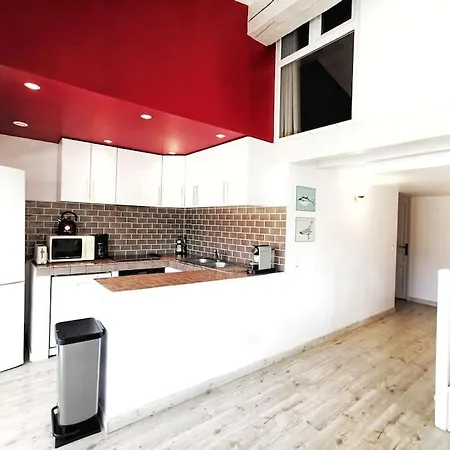 T5 Corail - Centre - Rooftop - Barbecue - Parking Collioure
